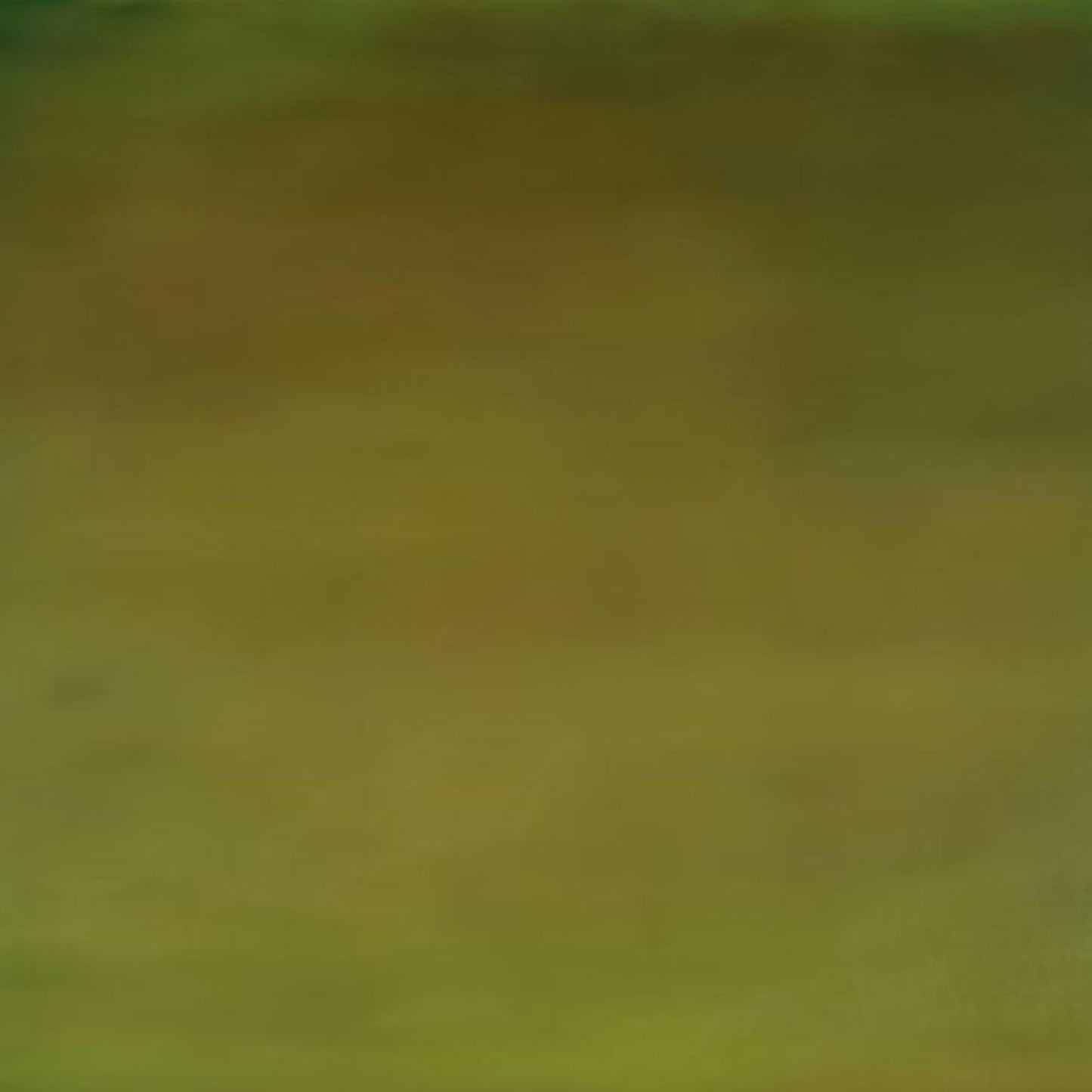 Minimalist Hand-Painted Olive Green & Yellow Rothko-Style Oil Canvas Art