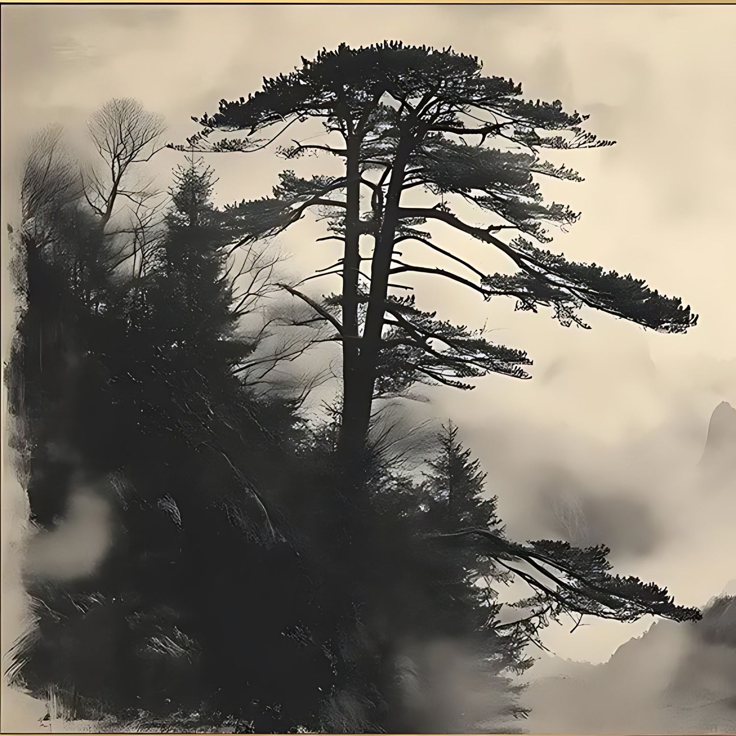 Black and white photograph of a tall tree in a forest with a misty background
