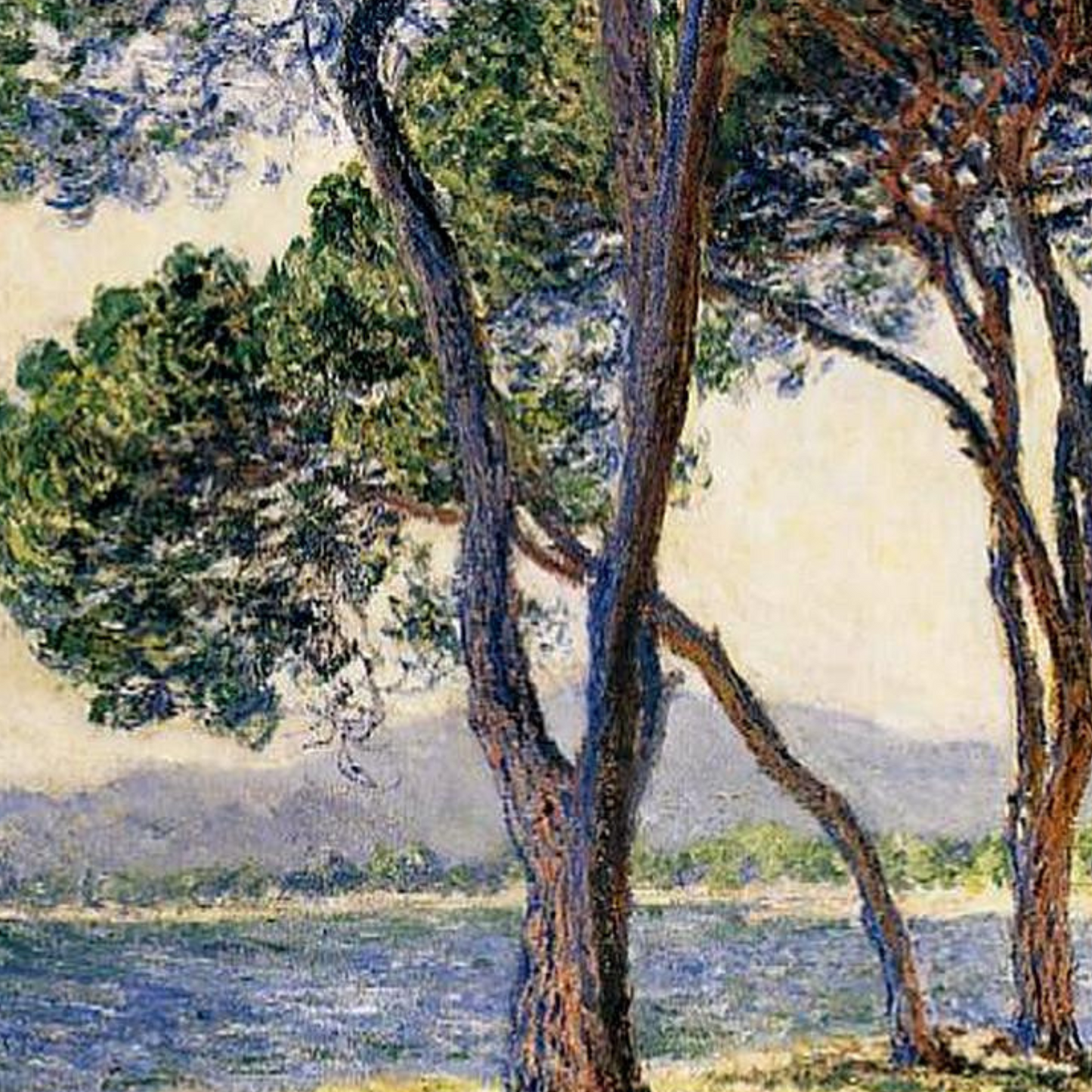 Monet Reproduction The Umbrella Pines at Antibes – Hand-Painted Impressionist Canvas