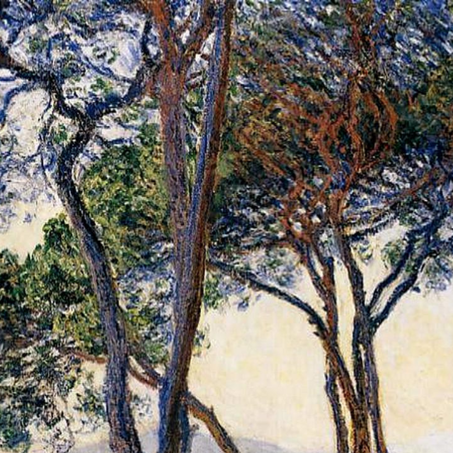 Monet Reproduction The Umbrella Pines at Antibes – Hand-Painted Impressionist Canvas