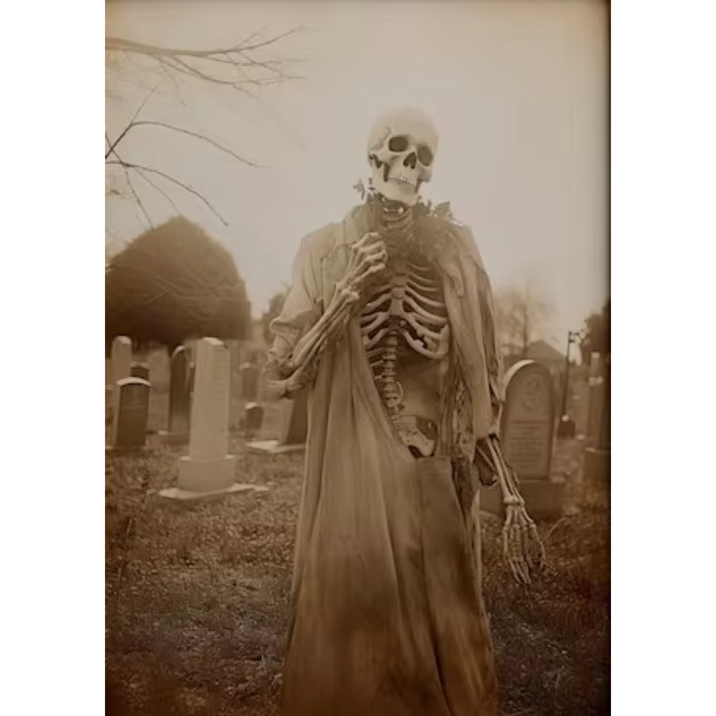 Haunting Skeleton Cemetery Gothic Dark Academia Halloween Art