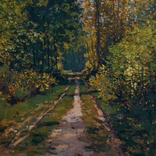 Detail of the forest path disappearing between shaded trees.