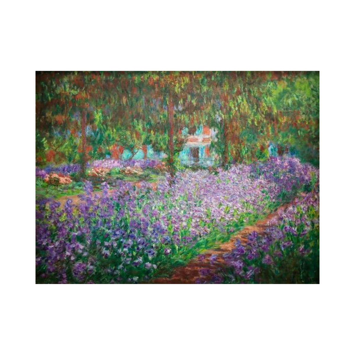 Violet iris beds, lush green foliage and a garden path leading towards a house at Giverny.