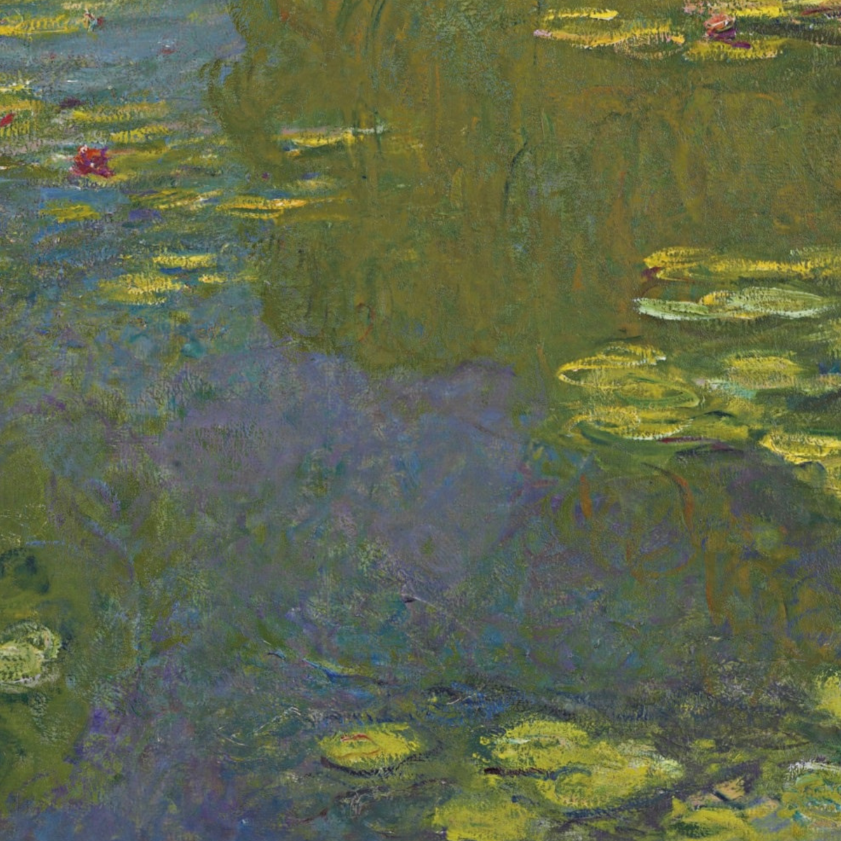 Close-up of reflected foliage and open olive-green pond water.