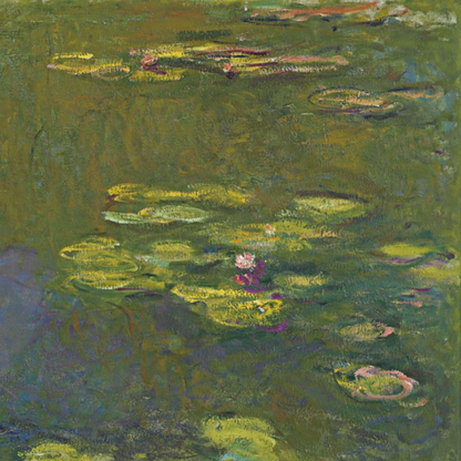 Detail of green lily pads and small pink blossoms.