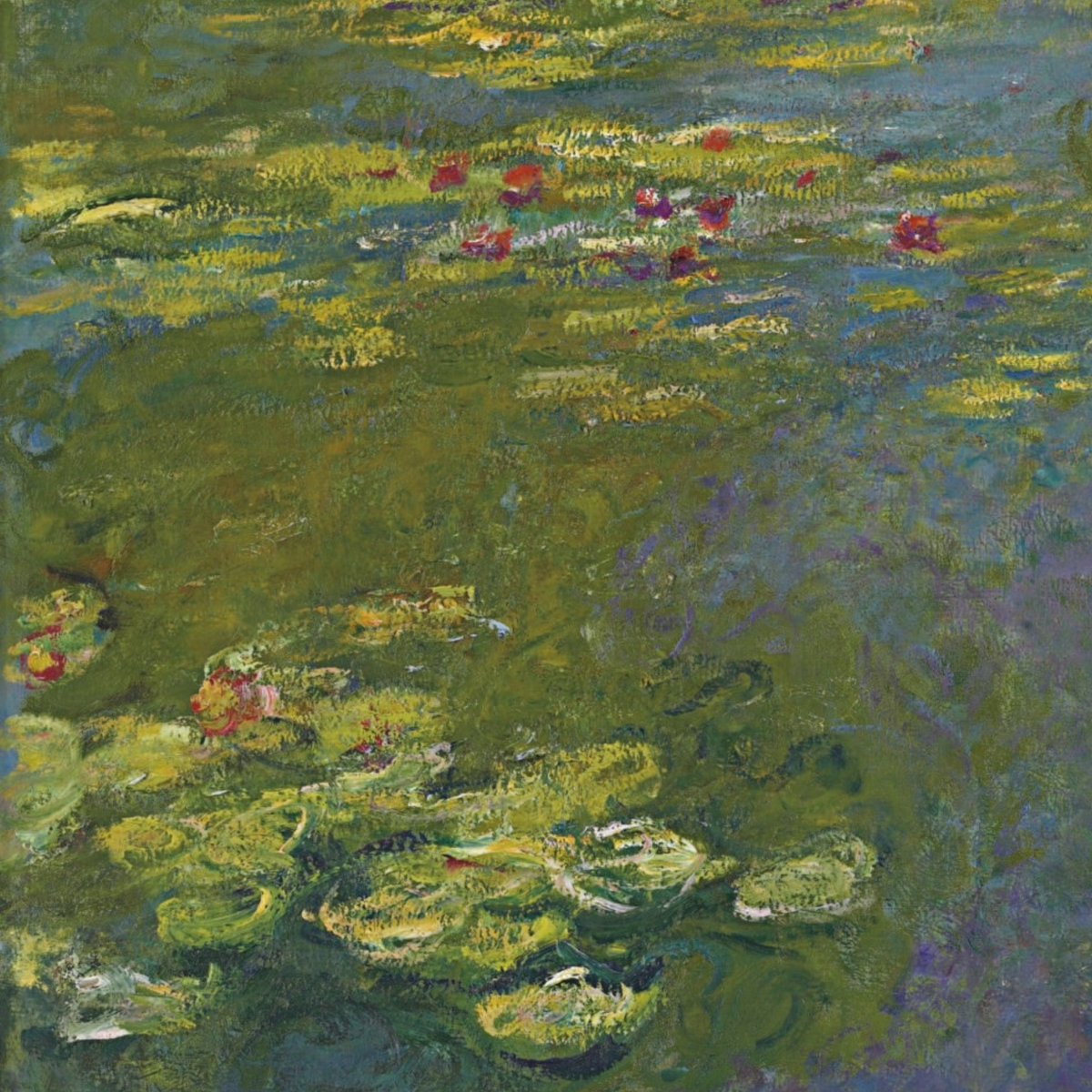 Close-up of clustered lily pads across green-blue water.