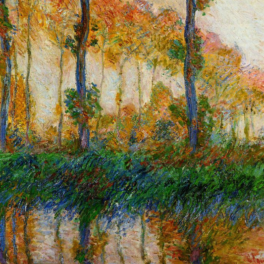 Close-up of autumn foliage and colourful river reflections.