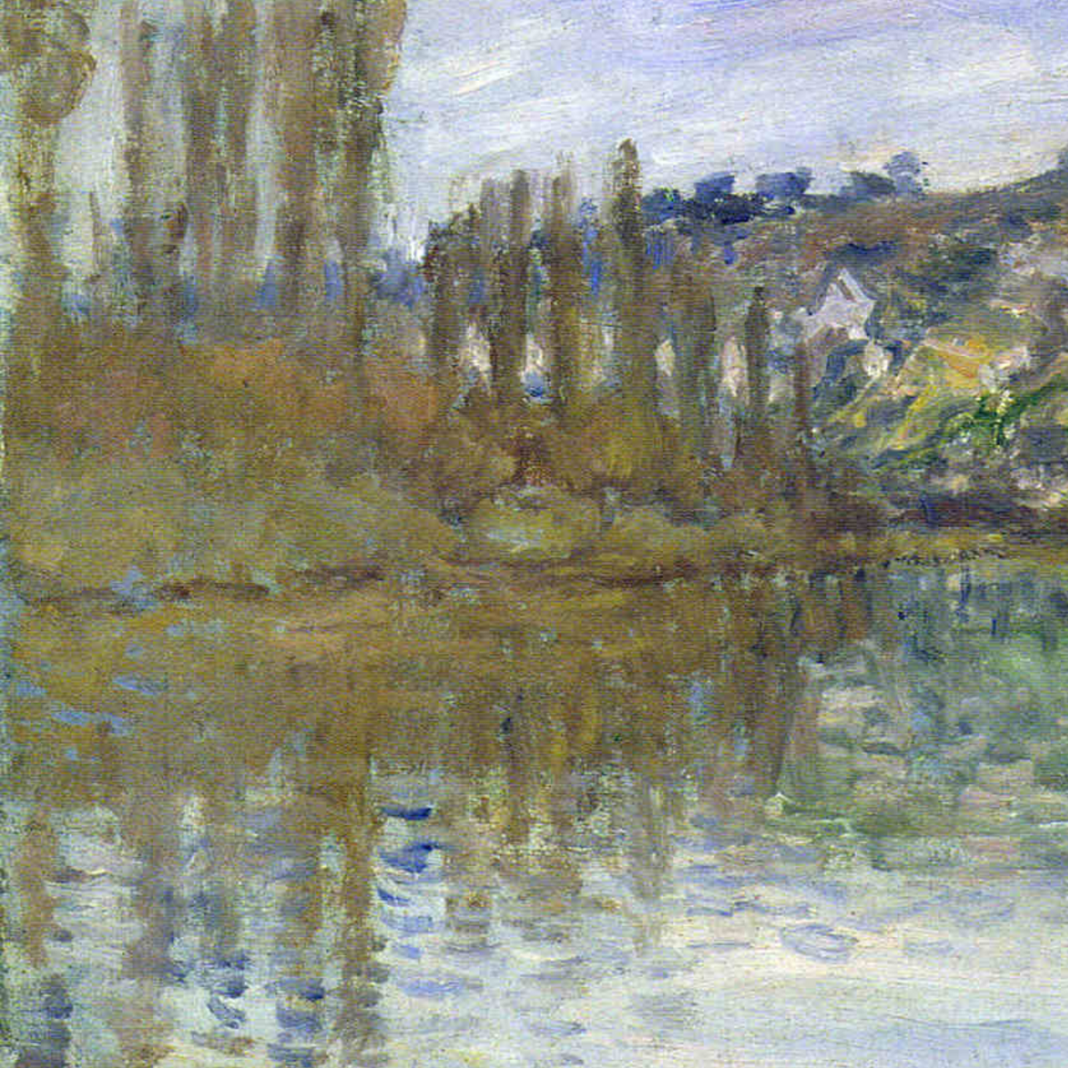 Close-up of tall riverside trees and broken reflections.