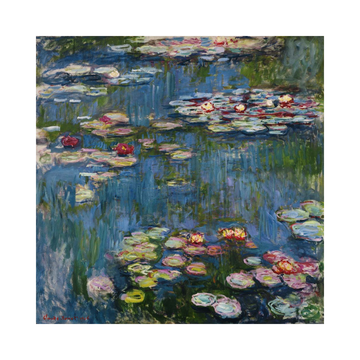Water-lily pond with pink and cream blossoms against deep blue reflections.