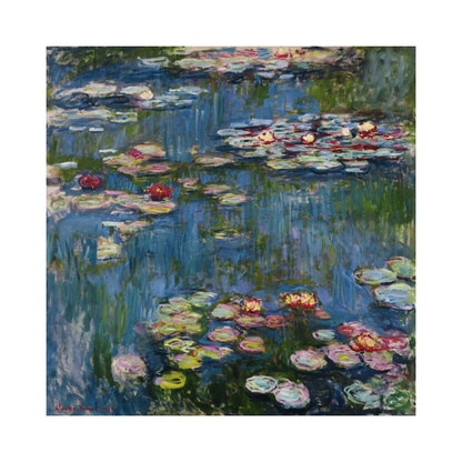Water-lily pond with pink and cream blossoms against deep blue reflections.