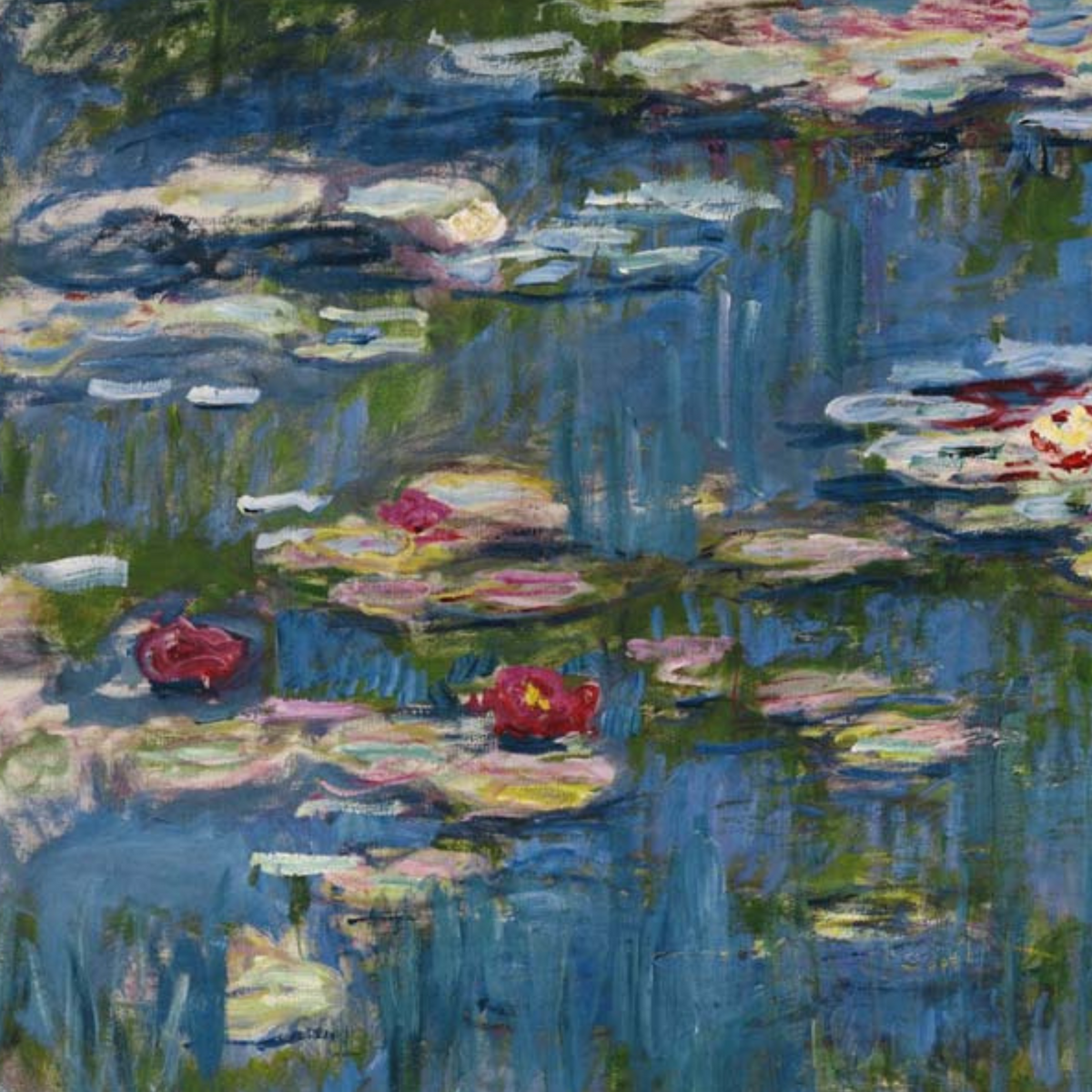 Close-up of pale lily blossoms floating on blue-green water.