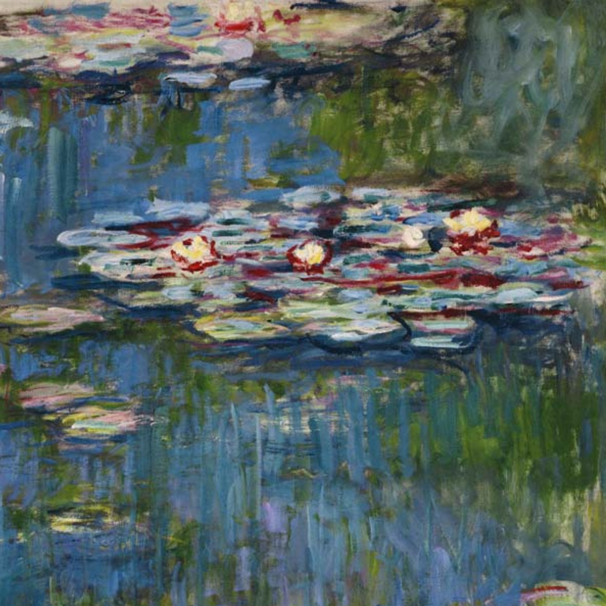 Close-up of lily pads and blossoms reflected in deep blue pond water.